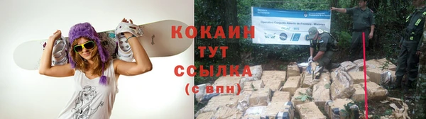индика Нефтекумск
