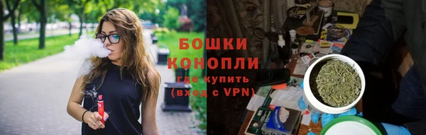 индика Нефтекумск