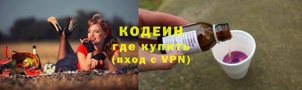индика Нефтекумск