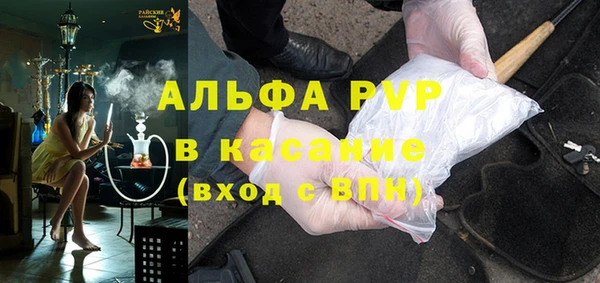 индика Нефтекумск