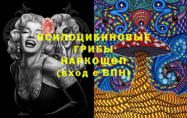 индика Нефтекумск