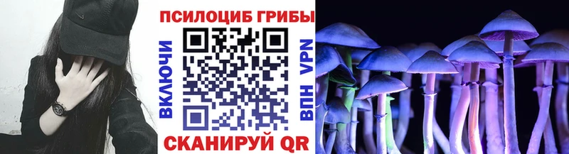 Псилоцибиновые грибы мицелий  Куртамыш 