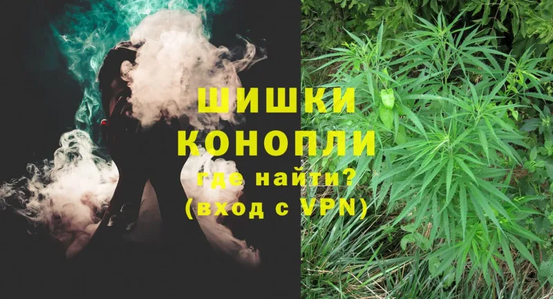 где найти   Куртамыш  Бошки Шишки OG Kush 