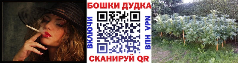 Каннабис семена  продажа наркотиков  Куртамыш 